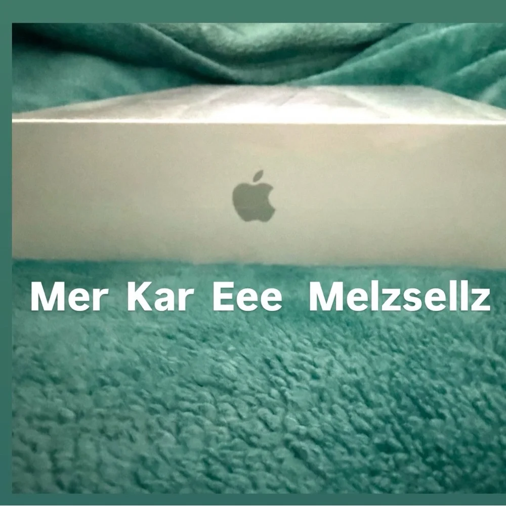 Apple iPad in Sleek Silver NEW SEALED
